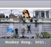 Honkey.JPG