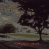 upload_2021-3-11_8-58-48.gif