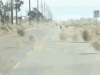 upload_2021-3-21_10-17-8.gif