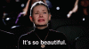 external-content.duckduckgo-9.gif