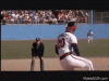 ConsiderateBelatedArrowana-max-1mb.gif