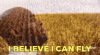 upload_2021-5-25_21-45-53.gif