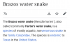 Screenshot_20210601-213419.png