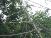 DSCF9825.JPG
