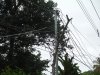 DSCF9824.JPG