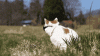 upload_2021-8-9_13-43-43.gif