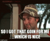 external-content.duckduckgo-5.gif