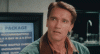 giphy-3.gif