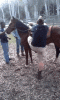 GraciousGaseousAxolotl-max-1mb.gif