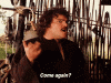 giphy-1.gif