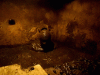 BoilingDismalArthropods-size_restricted.gif