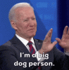 200w.gif