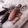 upload_2022-2-2_19-51-19.gif
