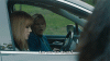 giphy-1.gif