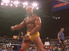 upload_2022-2-9_21-25-41.gif