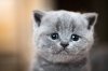 upload_2022-2-16_19-20-3.jpeg