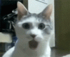 upload_2022-2-25_15-15-28.gif