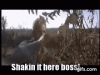 upload_2022-3-11_17-25-59.gif