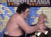 upload_2022-3-12_14-2-33.gif