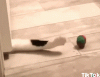 upload_2022-3-20_22-1-49.gif