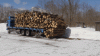 upload_2022-3-21_19-12-8.gif