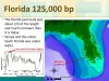 Sea+Level+6-8+meters+higher.jpg