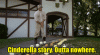 Cinderella story Bill Murray.gif