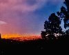EA9430D9-236A-4378-B836-33B6EC4505C4.jpeg
